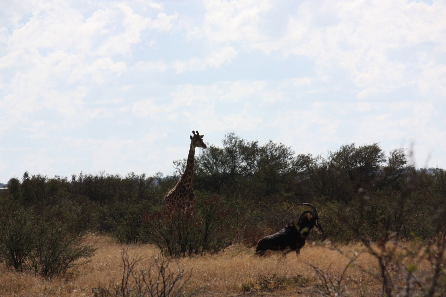 4 Bedroom Property for Sale in Vredefort Free State